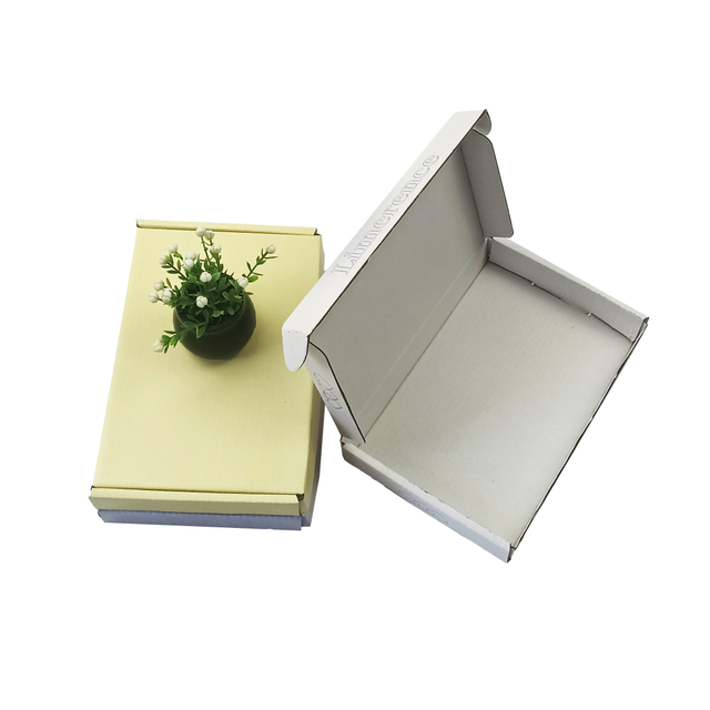 Caixa de papel de pacote exclusivo personalizado Fabricante